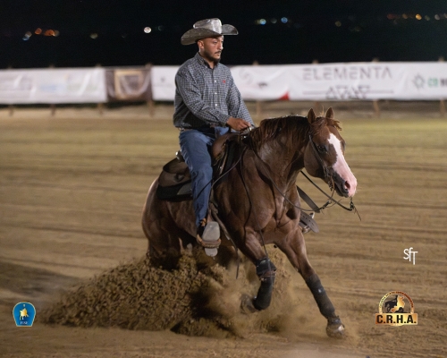 1 show CRHA 2024 - TROPEPE ALESSANDRO &amp; AT SIMONWOOD score 70,5