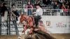 Finalmente anche la Calabria avrà il suo "Campionato regionale di Reining"