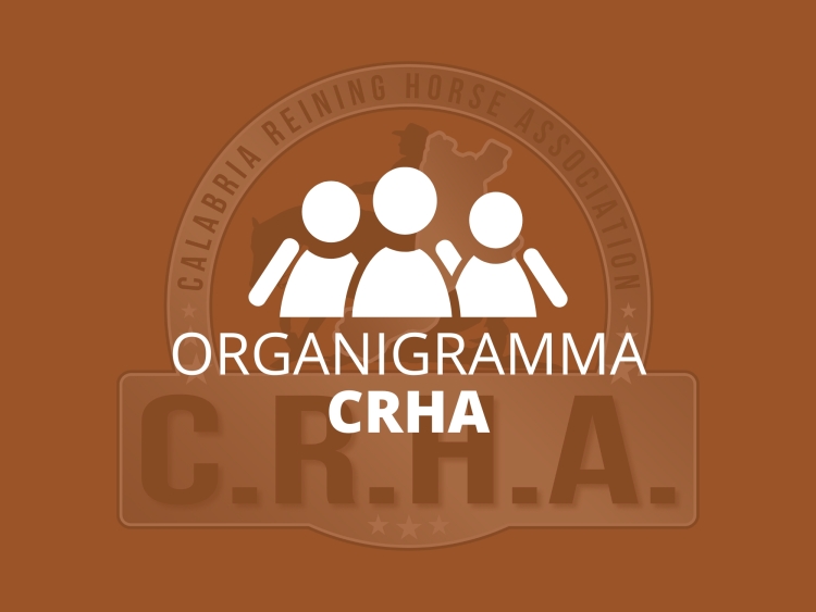 Organigramma